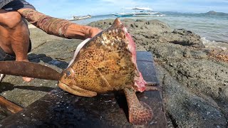 Pinakamahal na Sinampalukan at Inihaw LOBA or Marble grouper [upl. by Anneirda]