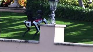 Robot dogs are patrolling Trump MarALago residence [upl. by Amol]