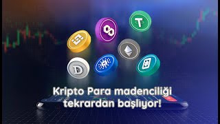 Kripto para madenciliği tekrardan canlanıyor İşte kazılacak coinler [upl. by Stanly]