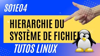 Hiérarchie du système de fichiers filesystem  Linux 14 [upl. by Leinad]