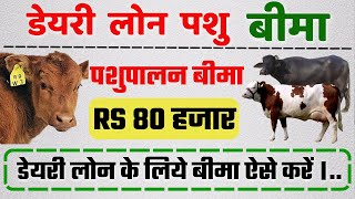 Dairy Loan Pashu Bima Yojana 2023  Pashupalan Insurance RS 80000 [upl. by Yntirb]