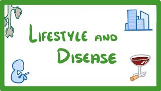 GCSE Biology  Is Your Lifestyle Really a Personal Choice  Lifestyle amp Risk Factors 42 [upl. by Nylecyoj]