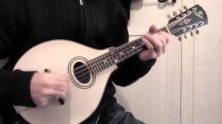 Mandolin tunes Monaghan Jig played in the key of D minor [upl. by Masson]