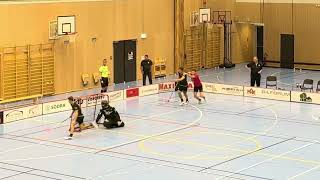 Highlights Träningsmatch ÅstorpKvidinge IBS Herrar  Halmstad IBK 66 [upl. by Aivlis]