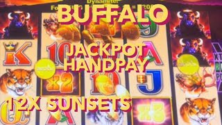 BUFFALO  GRATON CASINO [upl. by Ahsoet]