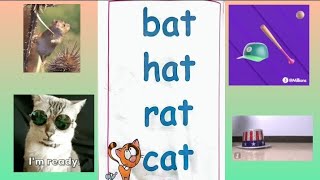 Three letter Word Book 📚 Read aloud for kids ¶ my first Book 🥳 [upl. by Kali126]