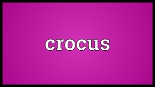 Crocus Meaning [upl. by Kirt]