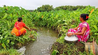 Fishing Video  The traditional village ladys fishing scene will amaze everyone  Best hook fishing [upl. by Oidale]