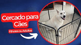 Unboxing  CercadoCercadinho para Cães  Filhotes ou Adultos [upl. by Sender753]