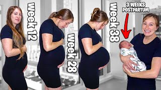 Pregnancy Transformation Week by Week [upl. by Nikkie95]