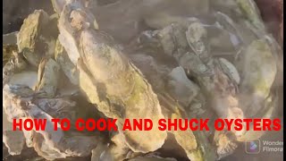 SHUCKING STEAMED OYSTERS [upl. by Gardiner540]