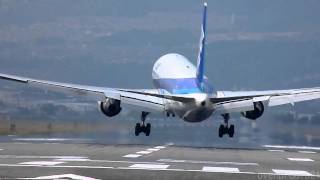 Crosswind Landings of 21 Airplanes at OSAKA Airport [upl. by Aineles]