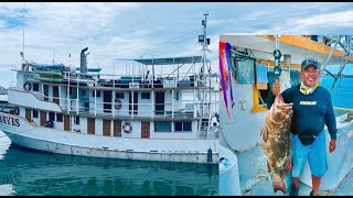 Tony Reyes Grouper fishing [upl. by Dalohcin]