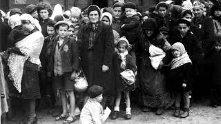 Displaced persons camps in postWorld War II Europe  Wikipedia audio article [upl. by Faux]