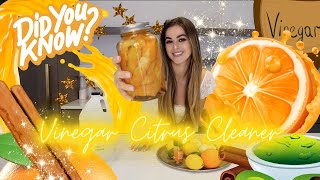 Vinegar Citrus Cleaner  CHEM WITH WREN  Science Experiment [upl. by Catie519]