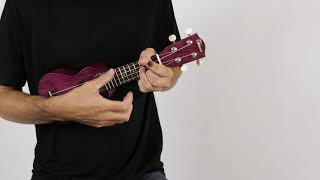 Ohana O’Nina Willow Sopranissimo Ukulele Purple  The Ukebug [upl. by Lorola]