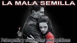 THE BAD SEED 📢 LA MALA SEMILLA 📢 Película completa 📢 ESPAÑOL LATINO [upl. by Grata]