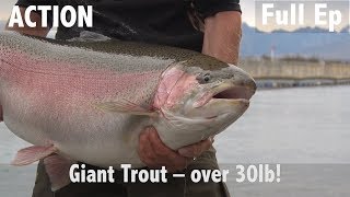 Giant Trout  Over 30lb [upl. by Marabel]