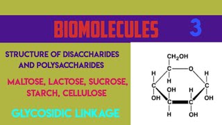 STRUCTURE OF DISACCHARIDES AND POLYSACCHARIDES MALTOSE LACTOSE SUCROSESTARCH CELLULOSE [upl. by Nerdna519]