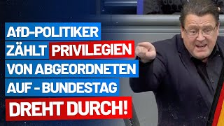 Stephan Brandner zählt Privilegien von Abgeordneten auf  Bundestag dreht durch  AfDFraktion [upl. by Notlaw]