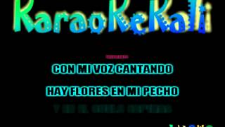 CHEO FELICIANO  ASI SOY KARAOKE DEMO [upl. by Atsylak]