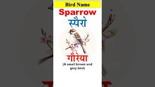 SPARROW  गौरेया का अंग्रेजी  Pronunciation and Hindi meaning of Sparrow  English words  shorts [upl. by Cicely]