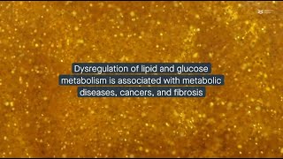 Roles of Twist1 in lipid and glucose metabolism and related diseases [upl. by Nahoj]