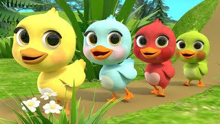 5 Little Ducks song  Newborn Baby Songs amp Nursery Rhymes [upl. by Bird]