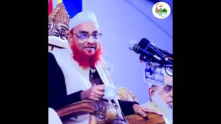 গুরুত্বপূর্ণ বয়ান পেশ করলেন  New Bangla waz আল্লামা নুরুল ইসলাম ওলিপুরী [upl. by Moon536]