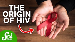 How HIV First Started in Humans [upl. by Raphael]