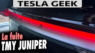 TESLA Model Y 2025 JUNIPER découvert [upl. by Eteragram]