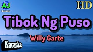 TIBOK NG PUSO  WIlly Garte  KARAOKE HD [upl. by Naginarb221]