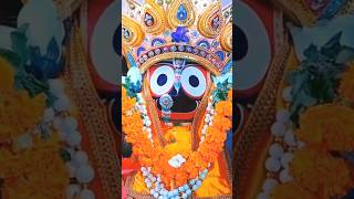 ସେ ମୋ ଜଗନ୍ନାଥ Hit odiya vajana Jaganatha Vajana Partha K Vlog [upl. by Eceinhoj]