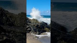 Fuerteventura Shorts Travel traveling Fuerteventura life dreams paradise playa beach Viral [upl. by Ambrosi]