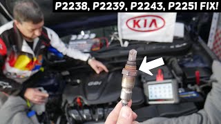 KIA OPTIMA CODE P2238 P2239 P2243 P2251 ENGINE LIGHT ON OXYGEN SENSOR FIX [upl. by Darlleen433]