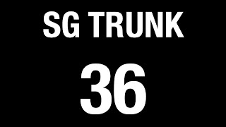 GoAhead Trunk 36 BFTP 2016  Bus Service Hyperlapse [upl. by Lhary]