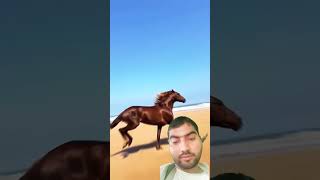 horseriding cowgirl horselover horse fact youtubeshorts shortvideo trending [upl. by Michaele]