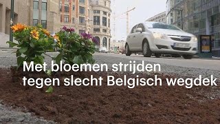 Nederlander in actie bloemen tegen slechte Belgische wegen  RTL NIEUWS [upl. by Mcgannon]