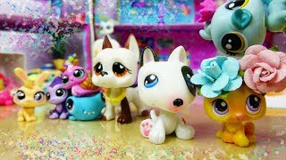 ❀ LPS Behind the Scenes Babysitting Chaos [upl. by Rodney]