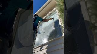 Residential cleaning with special edition Ettore squeegee oddlysatisfying windowcleaning [upl. by Greenebaum]