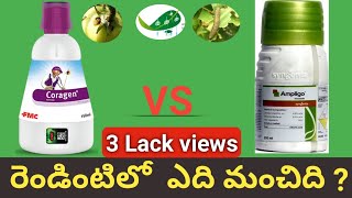 Coragen Vs Ampligo ఇ రెండు పురుగు మందులలొ ఏది మంచిది   which is best insecticide CoragenvsAmpligo [upl. by Razal]