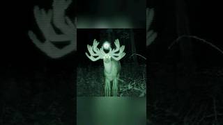 SkinWalker Disguised As Animals ☢️ PRT65 viral ytshorts [upl. by Atinat811]