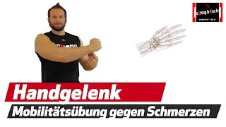 Handgelenkschmerzen  Diese Mobility Übung hillft [upl. by Seroled476]