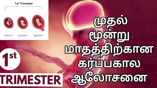 1st trimester of pregnancy  முதல் மூன்று மாத கர்ப்ப காலத்தில் தெரிந்து கொள்ள வேண்டிய விஷயம் 🤰 [upl. by Blatman199]