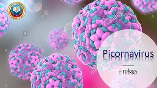 Picornaviruses  DrAsmaa [upl. by Naresh]