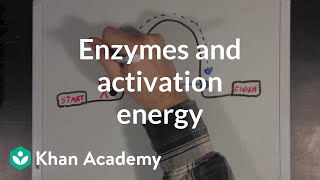 Enzymes and activation energy  Biomolecules  MCAT  Khan Academy [upl. by Afas]