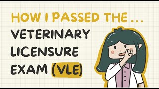 How I Passed the Veterinary Licensure Exam VLE [upl. by Karoly381]