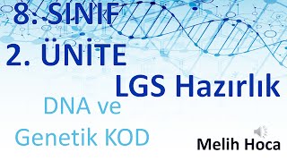 8 Sınıf 2 Ünite DNA ve Genetik KOD [upl. by Ydnil]