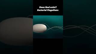 भगवान के अस्तित्व का सबूत  Bacterial Flagellum [upl. by Broadbent]