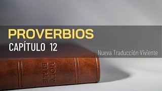 Proverbios 12 NTV  Biblia Dramatizada [upl. by Eseilanna842]